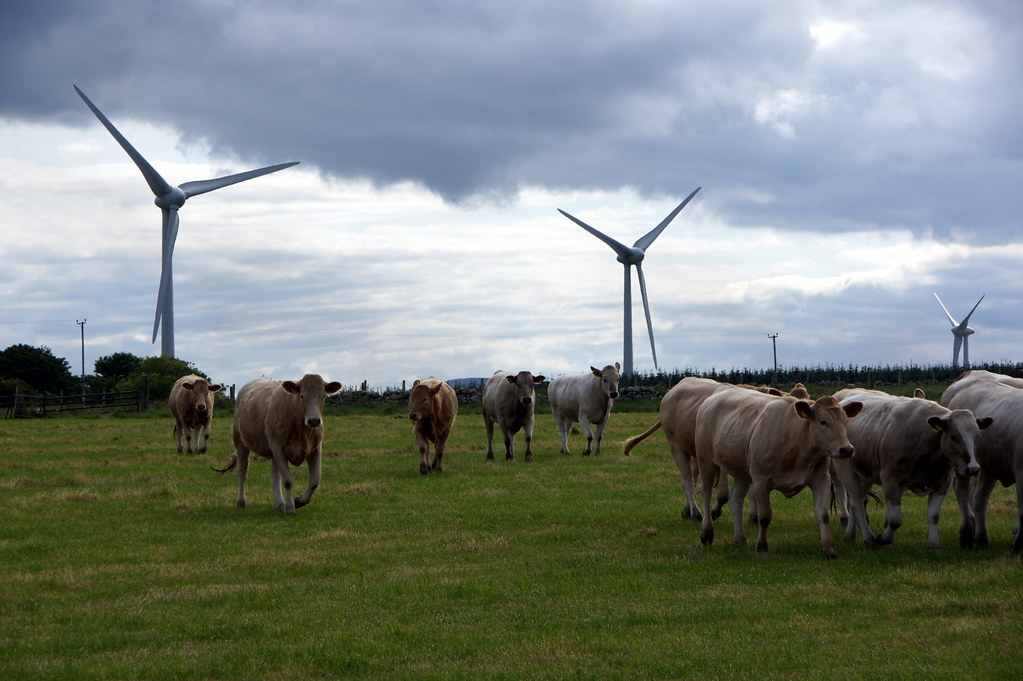 Foto: "wind power" av twicepix, CC BY-SA 2.0.
